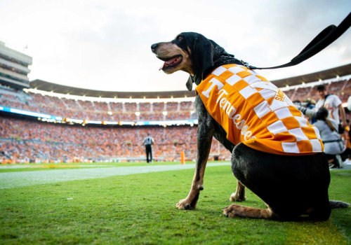 How Many People Attend Tennessee Football Games? A Comprehensive Look